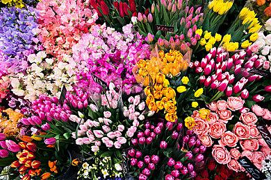 消息称创始人回归育碧正开发2D玩法波斯王子新作