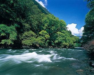 PS2022年度游戏名单公布 《战神》新作独揽十项大奖